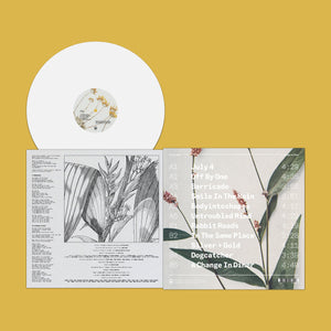 Fat Possum - A Change In Diet Vinyl & Merch | Fat Possum Records