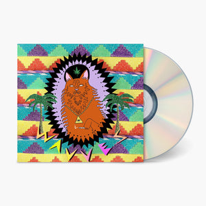 Fat Possum - King Of The Beach Vinyl & Merch | Fat Possum Records