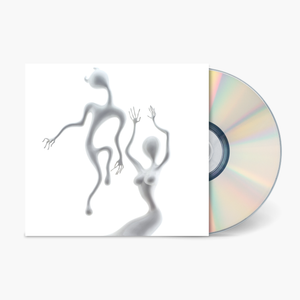 Fat Possum - Lazer Guided Melodies Vinyl & Merch | Fat Possum Records