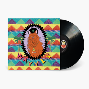 Fat Possum - King Of The Beach Vinyl & Merch | Fat Possum Records