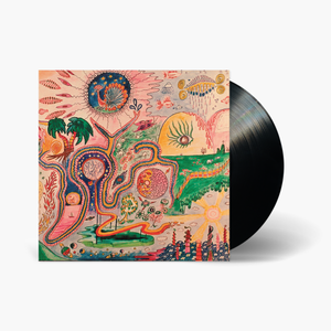 Youth Lagoon - Wondrous Bughouse Vinyl & Merch | Fat Possum Records
