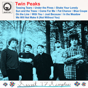 Fat Possum - Sweet 17 Singles Series Lp Vinyl & Merch | Fat Possum Records