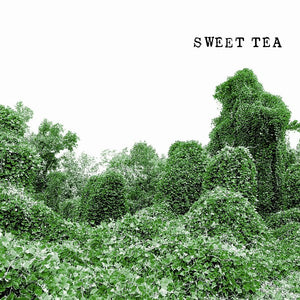 Fat Possum - Sweet Tea Vinyl & Merch | Fat Possum Records